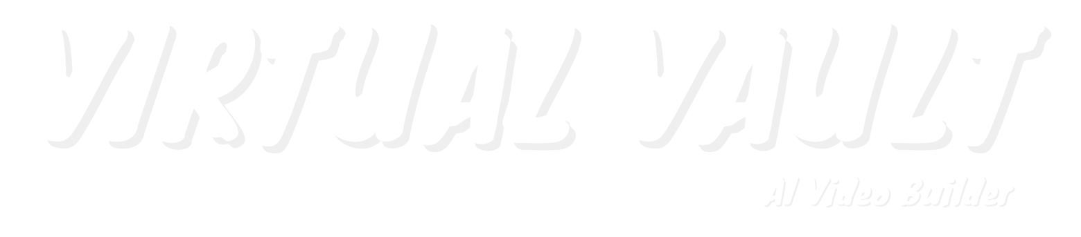 virtualvault.in